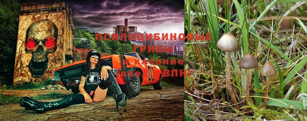 дмт Балабаново