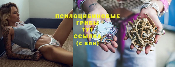 2c-b Балахна