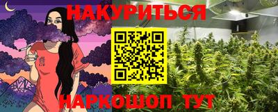 амф Шебекино