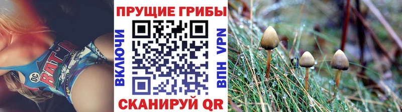 Псилоцибиновые грибы ЛСД  сколько стоит  Баксан 