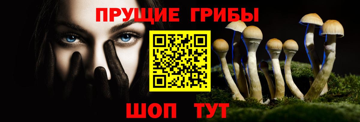 Галлюциногенные грибы MAGIC MUSHROOMS  Вход с VPN  Баксан 